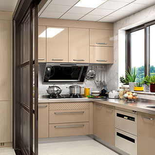 FIK51 : Wet and Dry Stainless Steel Kitchen Cabinet